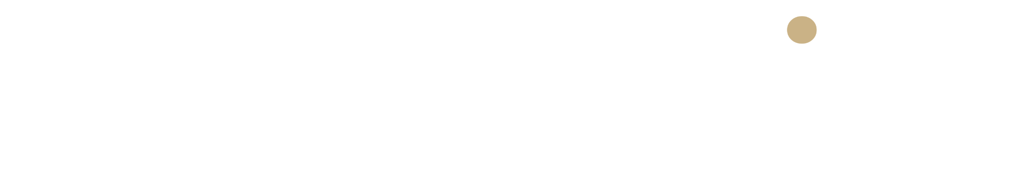 CounselRisk AI Governance Framework